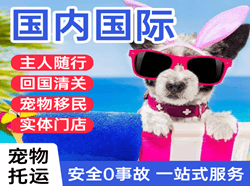 天河国际宠物托运 【国